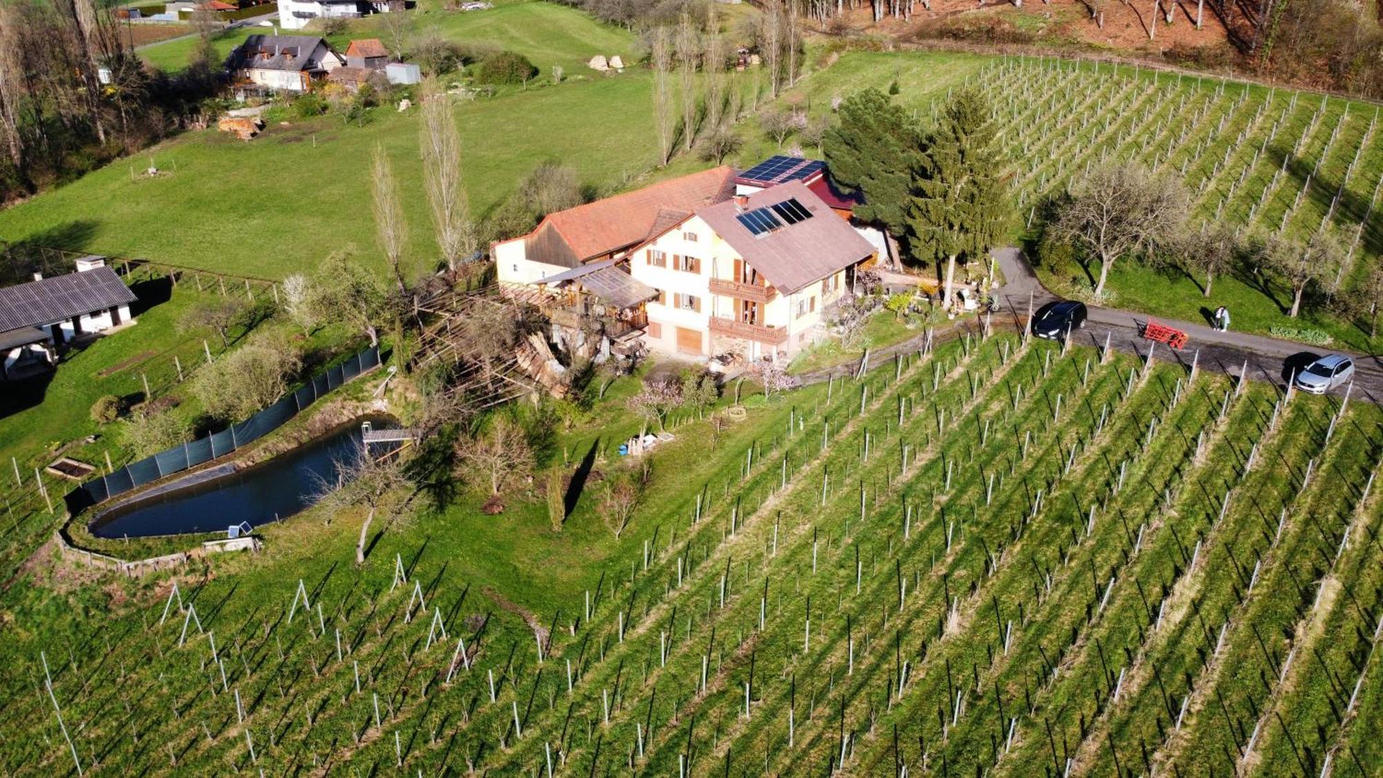 Appartement Weingut Schoberhof Bad Gleichenberg Eksteriør bilde