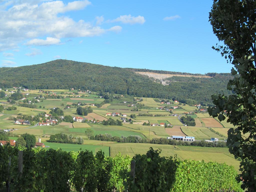 Appartement Weingut Schoberhof Bad Gleichenberg Rom bilde