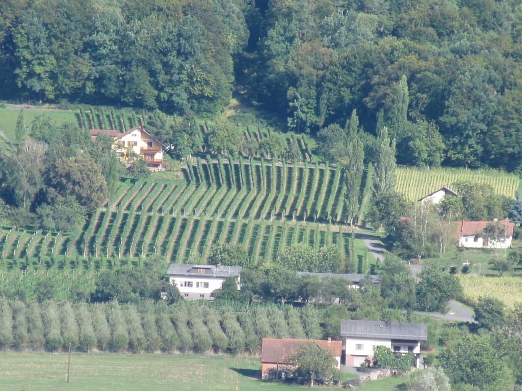 Appartement Weingut Schoberhof Bad Gleichenberg Rom bilde
