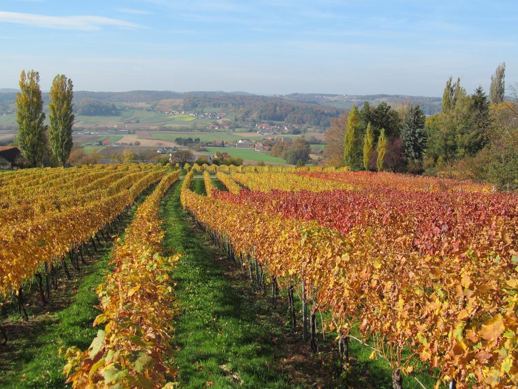 Appartement Weingut Schoberhof Bad Gleichenberg Rom bilde