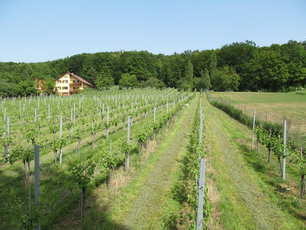 Appartement Weingut Schoberhof Bad Gleichenberg Rom bilde