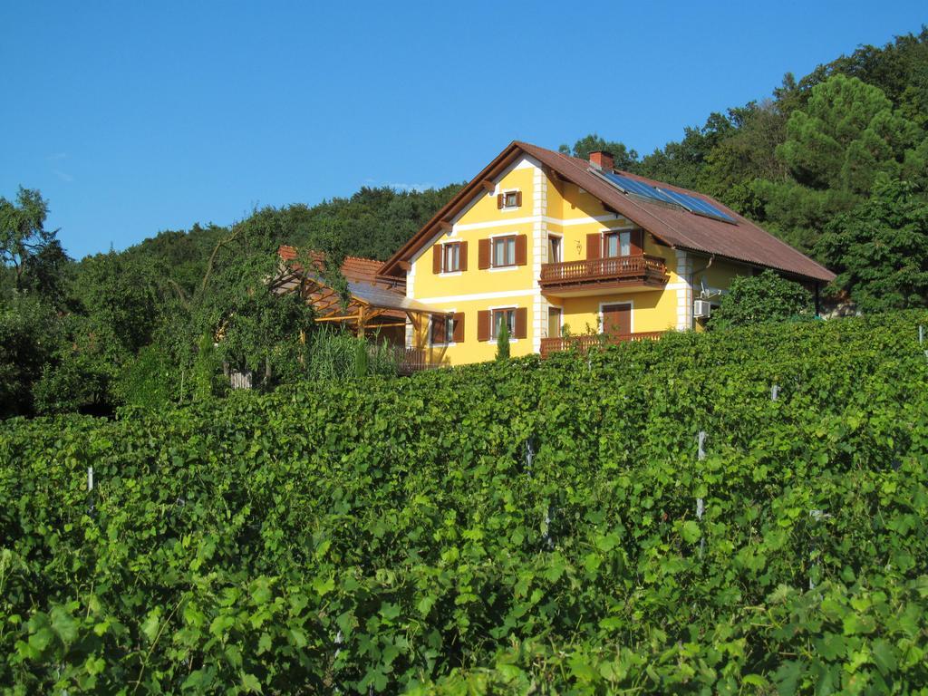 Appartement Weingut Schoberhof Bad Gleichenberg Eksteriør bilde
