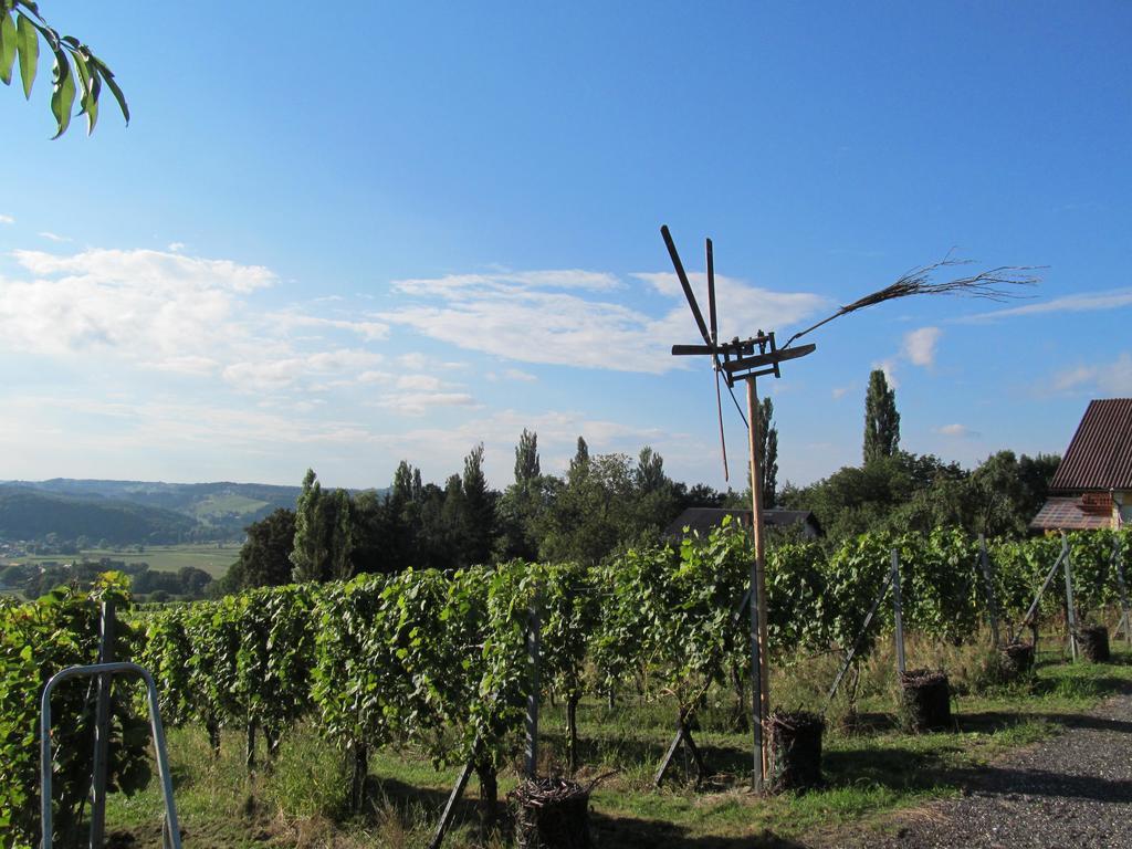 Appartement Weingut Schoberhof Bad Gleichenberg Eksteriør bilde